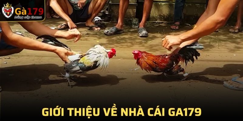 Giới thiệu về nhà cái GA179